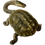 prehistoric turtle 2
