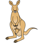 Kangaroo parent