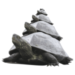 pyramid of turtle