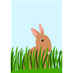rabbit mareckova
