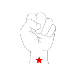 Revolution Fist