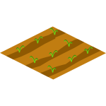 Soil with crops