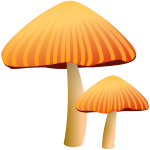 Orange mushrooms vector drawing