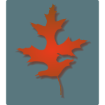 Oak Leaf - Autumn