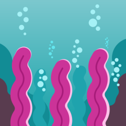 Marine plant life