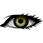 Brown eye vector image