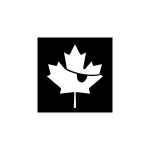 Vector graphics of pirate maple leaf
