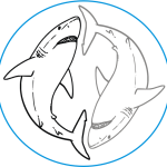 Great White Shark yinyang black gray