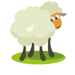 Shy sheep