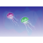 silvia2k1 medusas
