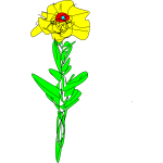 simple yellow flower