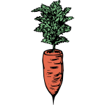 Simple carrot