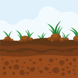 Soil layers