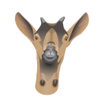 Vector graphics of young alpine goat head