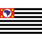 Bandeira de Sao Paulo flag vector image