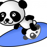 surfer panda