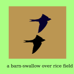 Swallow pair