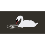 swan with ripple