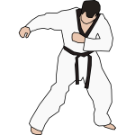 Taekwondo fighter