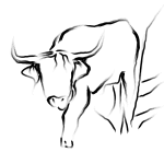 Drawn bull