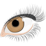 the eye of women 1580620