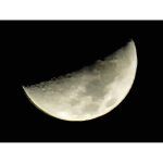 Moon vector image