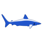 tiburon