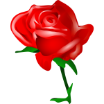 Red rose vector image