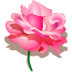 Rose vector graphics