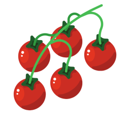 Tomato plant branch-1781436964