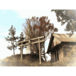 torii and shrine 01