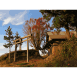 torii and shrine 02