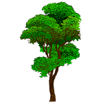 Colorized Tree