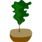 Tree in Pot