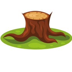 Tree trunk base