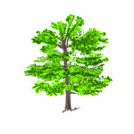 tree1 colour