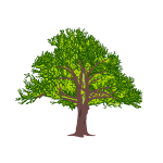 Green tree-1628028809