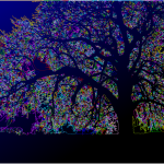 Surreal tree silhouette