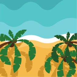Tropical beach view from above