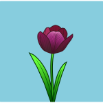 Tulip line