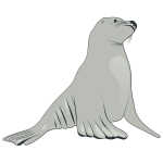 Sea lion vector image