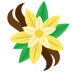 Vanilla plant