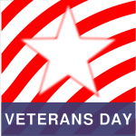 Veterans Day vector image