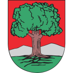 Vector drawing of coat of arms of Walbrzych City
