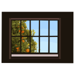 window with orange tree