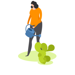 A woman is watering a plant