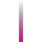 ws-gradient-mediumvioletred