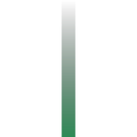 ws-gradient-seagreen