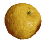 Yuzu citrus fruit