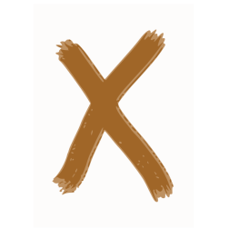  X